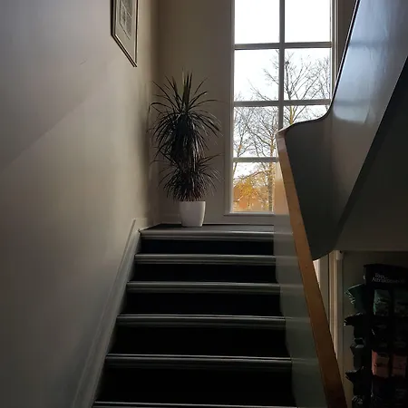 Danhostel ホステル *