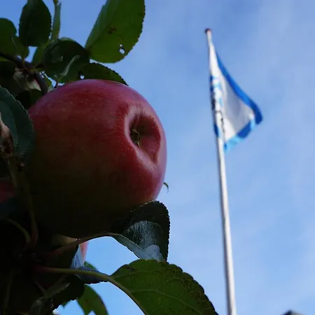 Danhostel プランデ