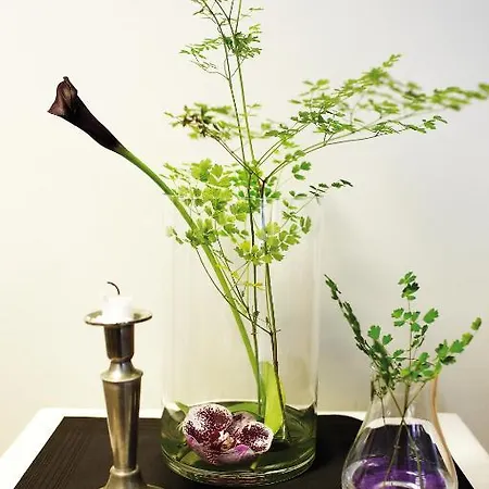 Danhostel ホステル *